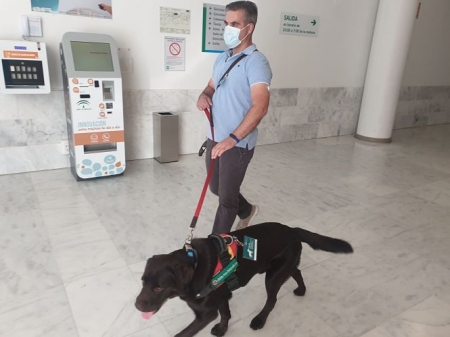Un paciente con diabetes con su perro de asistencia sanitaria que le ayuda a detectar las bajadas de azúcar (HUSC)