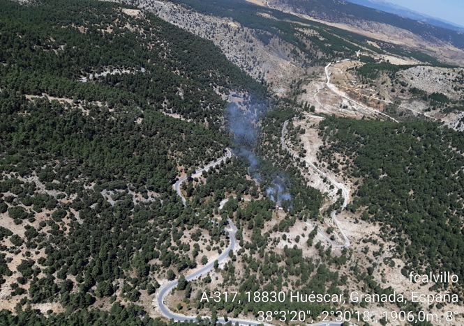 Zona afectada por el incendio (INFOCA)