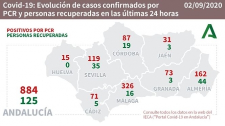 Evolución diaria de la pandemia en Andalucia (JUNTA DE ANDALUCIA)
