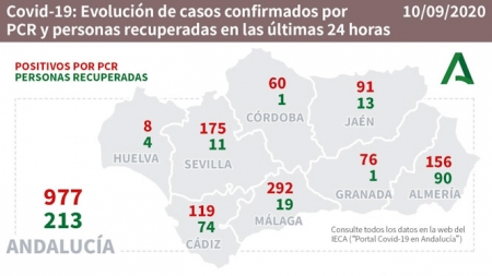 Evolución diaria de la pandemia en Andalucia (JUNTA DE ANDALUCÍA)