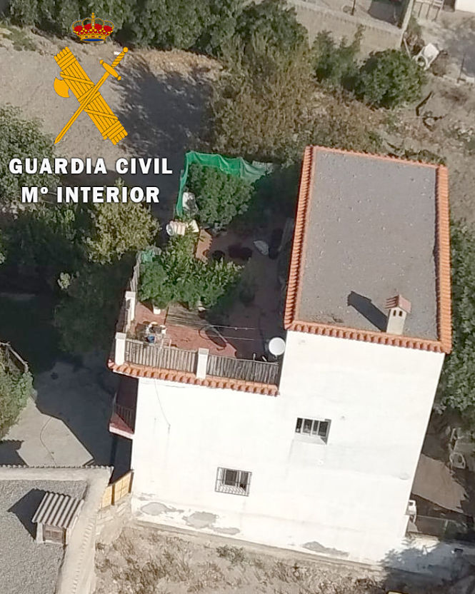Imagen aérea de la plantación (GUARDIA CIVIL)