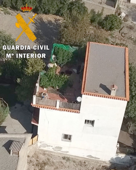 Imagen aérea de la plantación (GUARDIA CIVIL) Imagen aérea de la plantación (GUARDIA CIVIL)