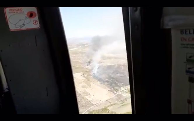 Incendio forestal en Arenas del Rey (INFOCA) 