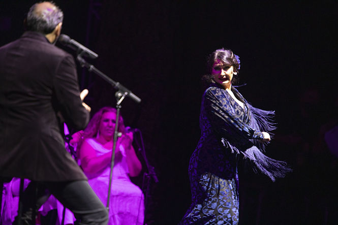 Imagen del Festival Milnoff (FESTIVAL MILNOFF)