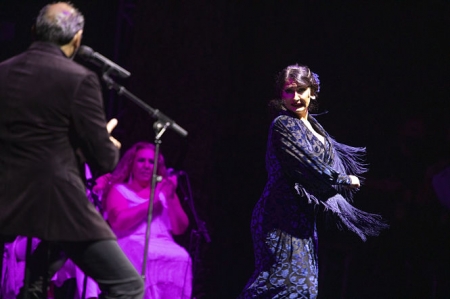 Imagen del Festival Milnoff (FESTIVAL MILNOFF)