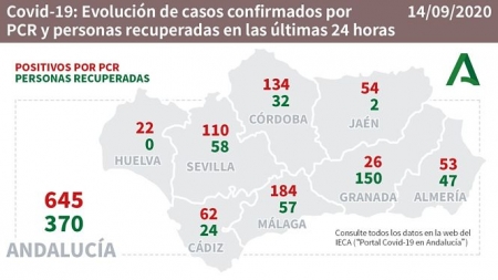 Evolución diaria de la pandemia en Andalucia (JUNTA DE ANDALUCIA)