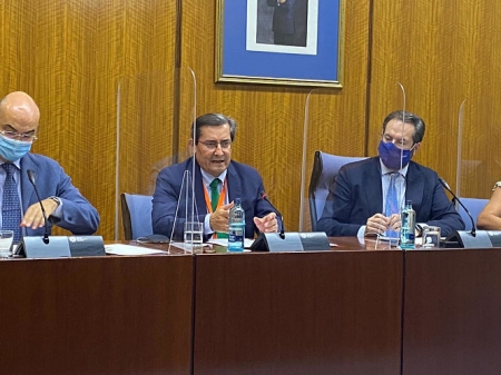 El presidente de la Diputación de Granada, José Entrena, comparece en el Parlamento (DIPUTACIÓN DE GRANADA) 