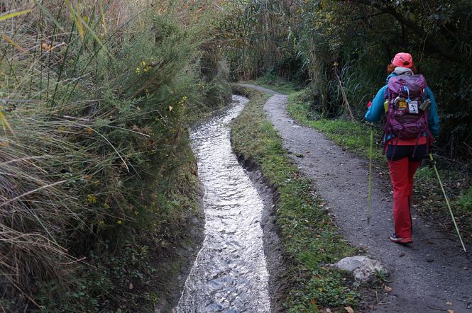 Un senderista junto a la Acequia del Albaricoque (IU)