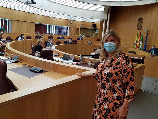 La portavoz del PP en la Diputación de Granada, Inmaculada Hernández (PP) 