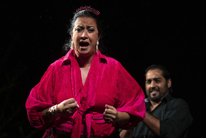 Imagen de la actuación (MILNOFF) 