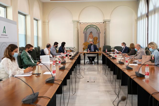 Imagen de la reunión de la Comisión de Seguimiento (JUNTA) 