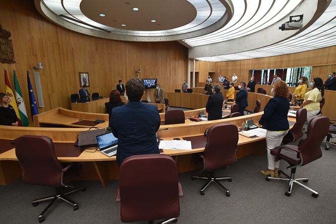 Pleno extraordinario de Diputación (M. A. MUÑOZ / DIPGRA) 