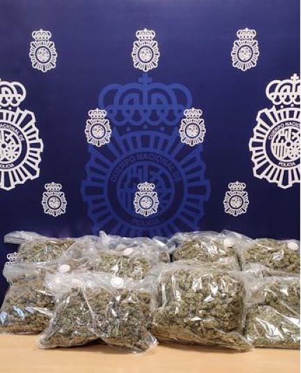 Imagen de la Marihuana intervenida (POLICÍA NACIONAL) 