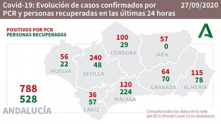 Evolución diaria de la pandemia en Andalucía (JUNTA DE ANDALUCÍA) 