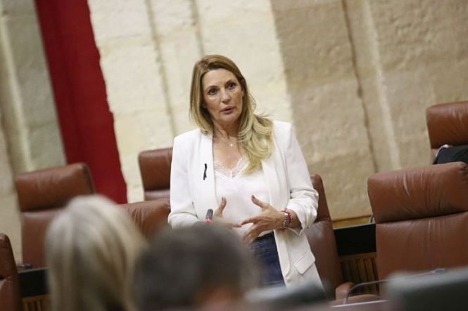 La parlamentaria andaluza de Cs, Concha Insúa (CIUDADANOS)