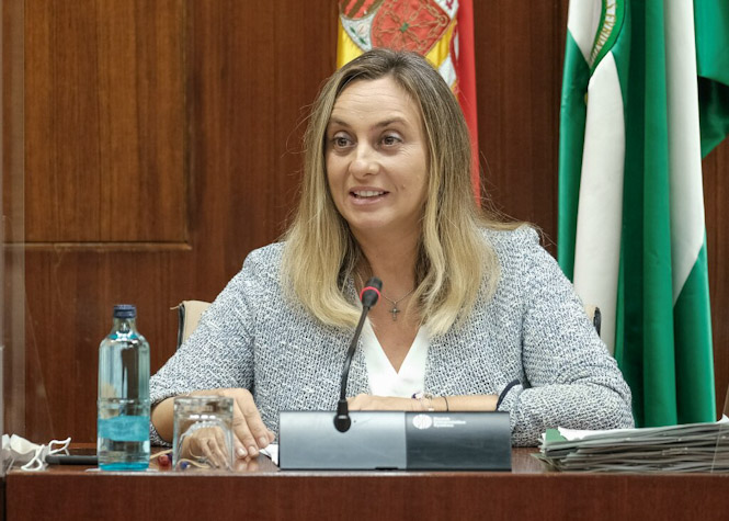 Imagen de Marifrán Carazo durante la comisión de transporte (JUNTA) 