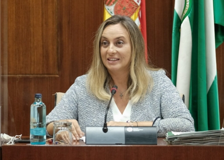 Imagen de Marifrán Carazo durante la comisión de transporte (JUNTA) 