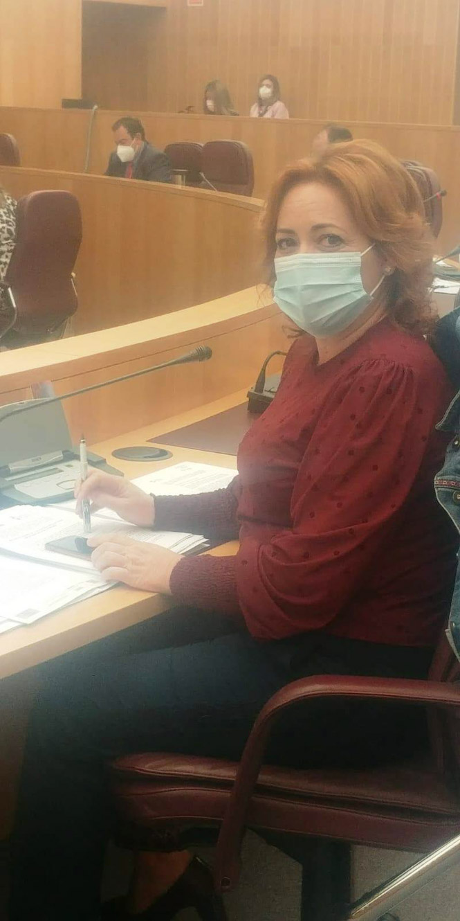 Mari Carmen Pérez, Diputada Provincial de IU (IU) 