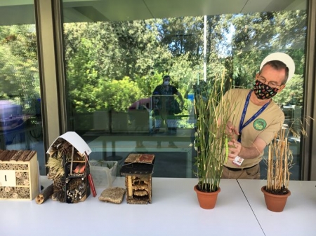 Imagen del Taller de insectos (PARQUE DE LAS CIENCIAS) 