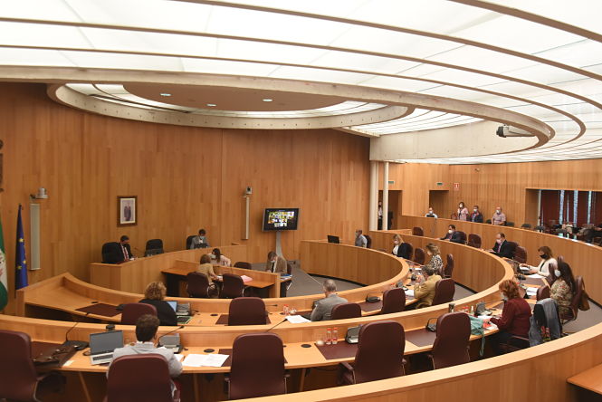 Imagen del Pleno ordinario de Diputación (M. MUÑOZ / /DIPGRA) 