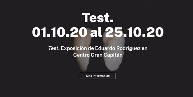 Captura de pantalla de la web de Facba sobre la exposición `Test` (EUROPA PRESS)