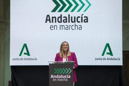 Marifran Carazo ha explicado el Plan `Andalucia en Marcha` (JUNTA)