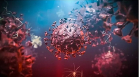 Coronavirus en 3D (APPLEDESIGN / GETTY) 