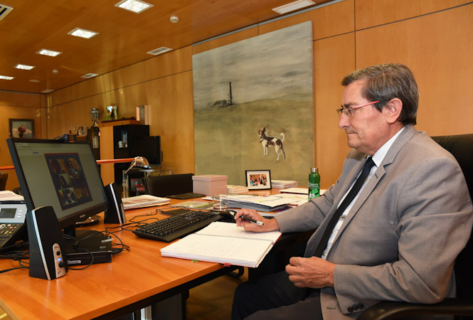 Imagen de la reunión telemática (R. NARTÍNEZ / DIPGRA)