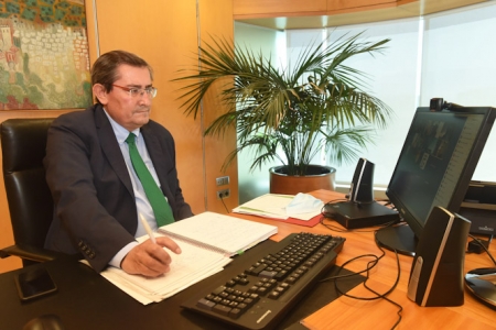 José Entrena durante la reunión telemática (R. MARTÍNEZ /DIPGRA) José Entrena durante la reunión telemática (R. MARTÍNEZ /DIPGRA)