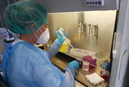 Una profesional del servicio de Microbiología del HUC procesa una prueba PCR Una profesional del servicio de Microbiología del HUC procesa una prueba PCR