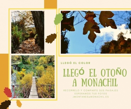 AYUNTAMIENTO MONACHIL 