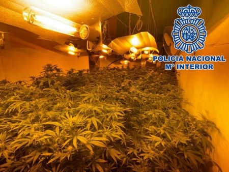 Plantación Indoor descubierta en Motril (POLICÍA NACIONAL) 