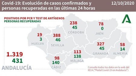 Evolución diaria de la pandemia en Andalucía (JUNTA DE ANDALUCÍA) 