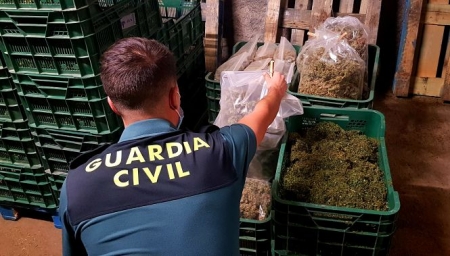Imagen de la marihuana incautada (GUARDIA CIVIL) Imagen de la marihuana incautada (GUARDIA CIVIL)