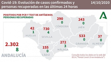 Evolución diaria de la pandemia en Andalucía (JUNTA DE ANDALUCÍA) 