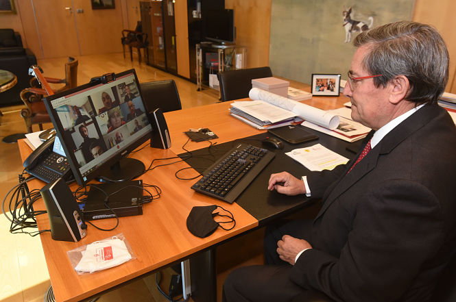 Imagen de la reunión telemática (R. MARTÍNEZ / DIPGRA)