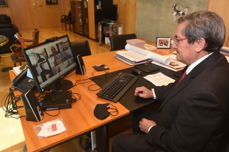 Imagen de la reunión telemática (R. MARTÍNEZ / DIPGRA)