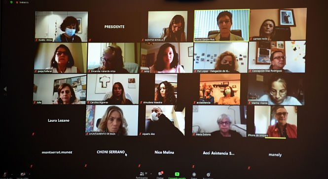 Imagen del encuentro telemático (R. MARTÍNEZ / DIPGRA)