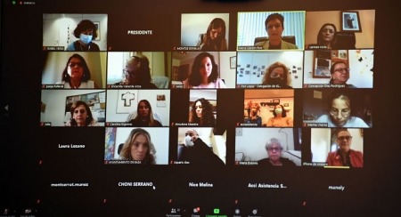 Imagen del encuentro telemático (R. MARTÍNEZ / DIPGRA)