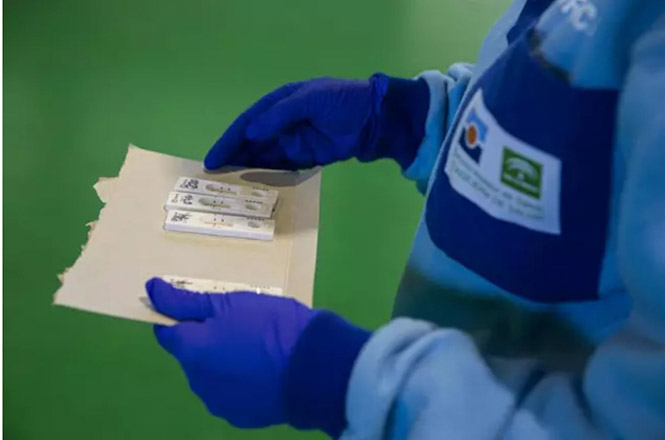 Sanitarios en la prueba de test antígenos para el cribado masivo de la detección del covid 19 (MARÍA JOSÉ LÓPEZ / EUROPA PRESS) 