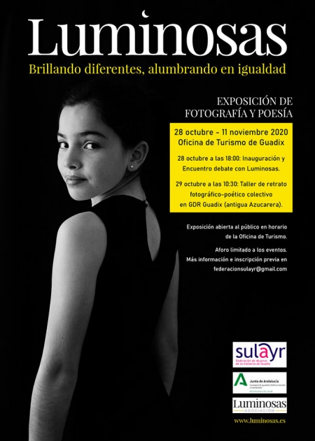 Cartel del proyecto (SULAYR) 