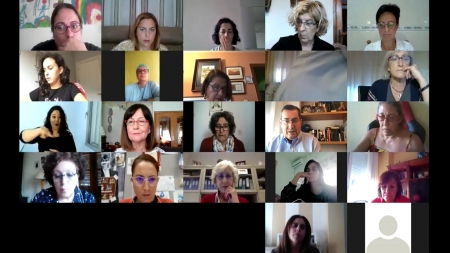 Imagen de la reunión telemática (DIPUTACIÓN)