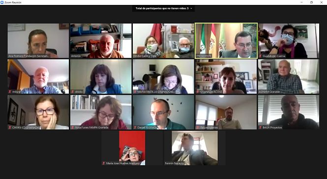 Imagen de la reunión telemática (DIPUTACIÓN)