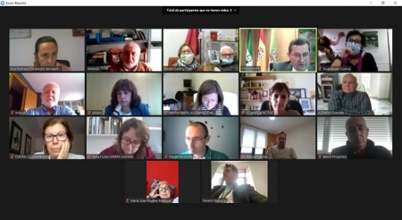 Imagen de la reunión telemática (DIPUTACIÓN)