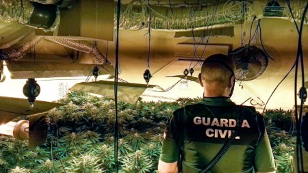 Plantación de Marihuana intervenida en Lachar (GUARDIA CIVIL)