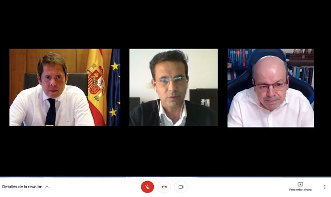 Imagen de la reunión telemática (PSOE)