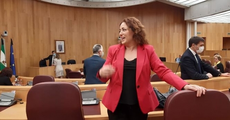 Mari Carmen Pérez, Diputada provincial de IU (IU)