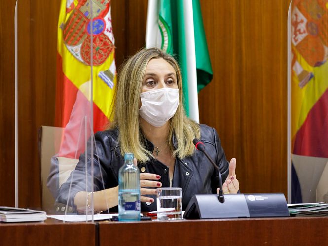 Marifrán Carazo durante la comisión de Fomento (JUNTA)