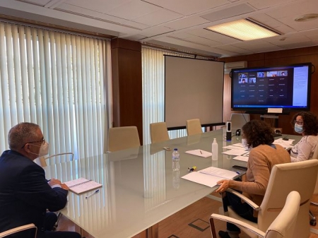 Imagen de la reunión (JUNTA)