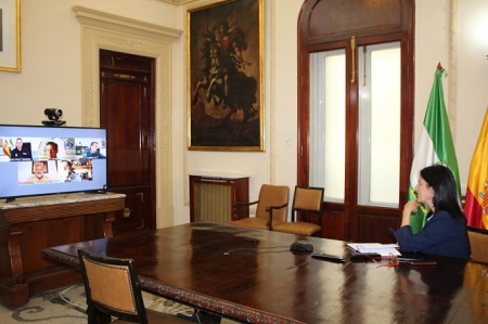 Imagen de la reunión telemática con el CECOR (SUBDELEGACIÓN) 